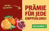 Anzeige für ein Zeitungsabonnement. Text: "Pramie für jede Empfehlung!" und Button „Jetzt bestellen“.